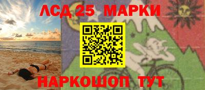дмт Аргун