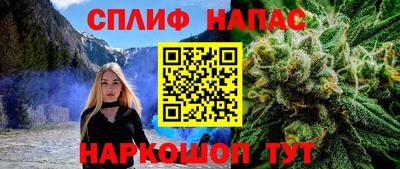 ГАЛЛЮЦИНОГЕННЫЕ ГРИБЫ Шебекино